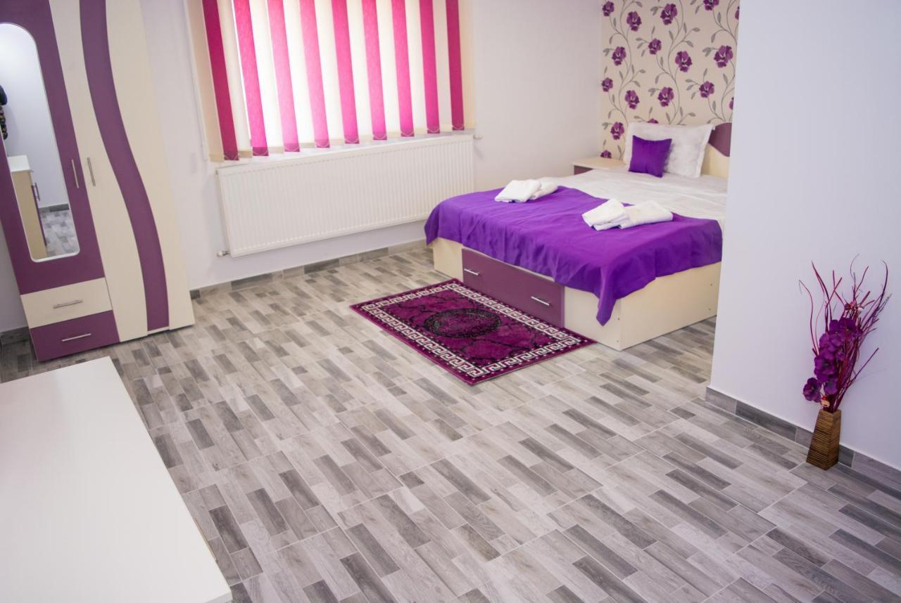 Casa Erk Bed & Breakfast Călimăneşti Bagian luar foto