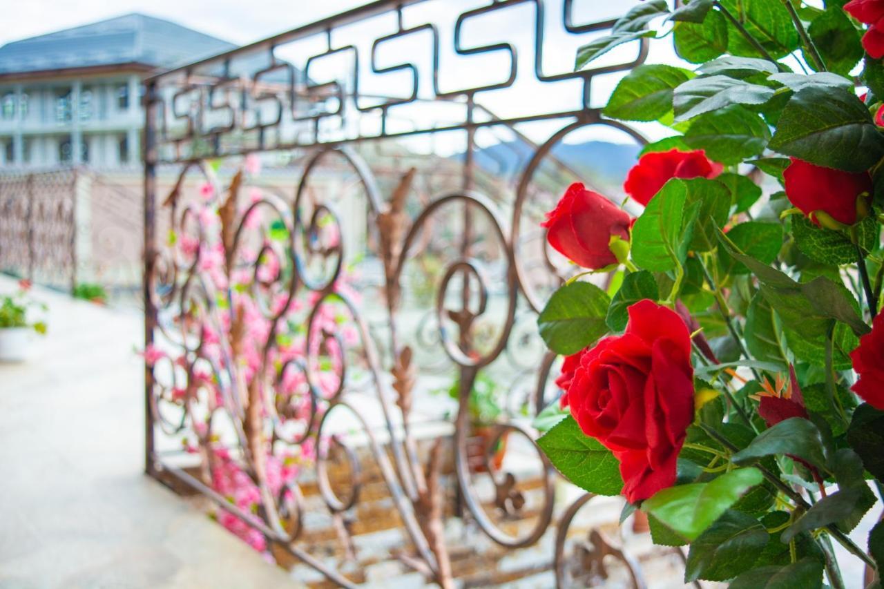 Casa Erk Bed & Breakfast Călimăneşti Bagian luar foto