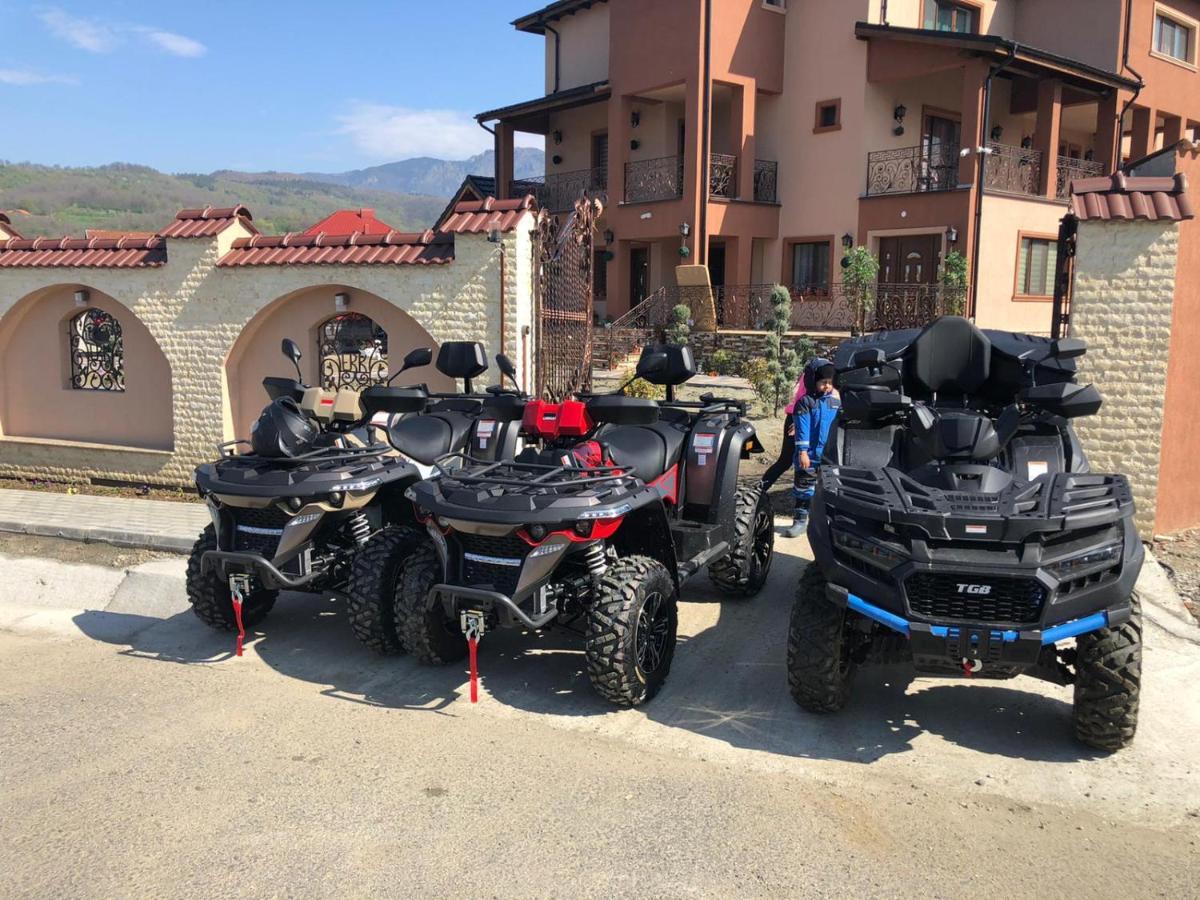 Casa Erk Bed & Breakfast Călimăneşti Bagian luar foto