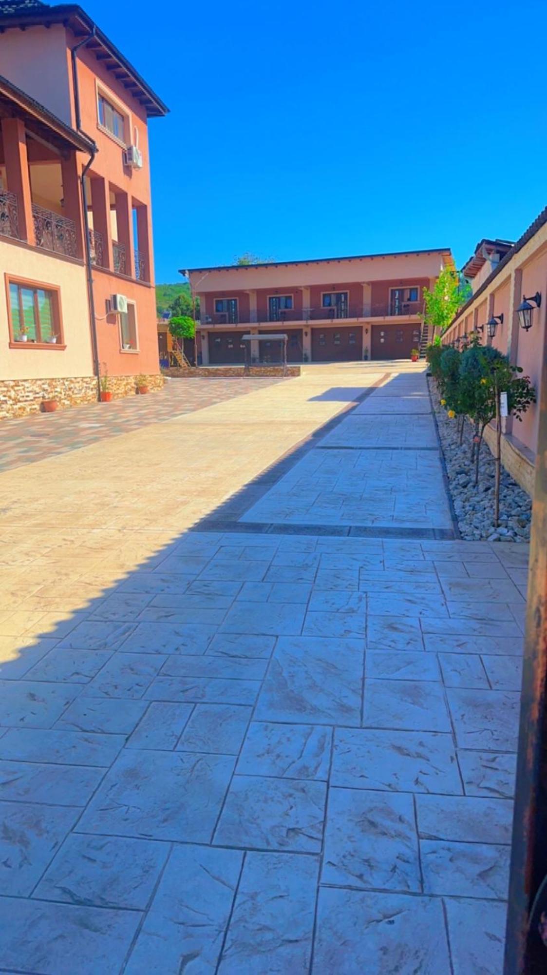 Casa Erk Bed & Breakfast Călimăneşti Bagian luar foto